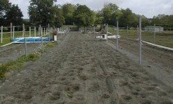 Piste Galop SP-B.JPG
